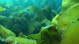 2011-06-15 16-58-55 UK_19